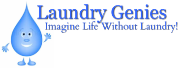 Laundry Genies